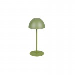 Ortiz - Portable Indoor/Outdoor Rechargeable Green Table Lamp Ortiz - Portable Indoor/Outdoor Rechargeable Green Table Lamp