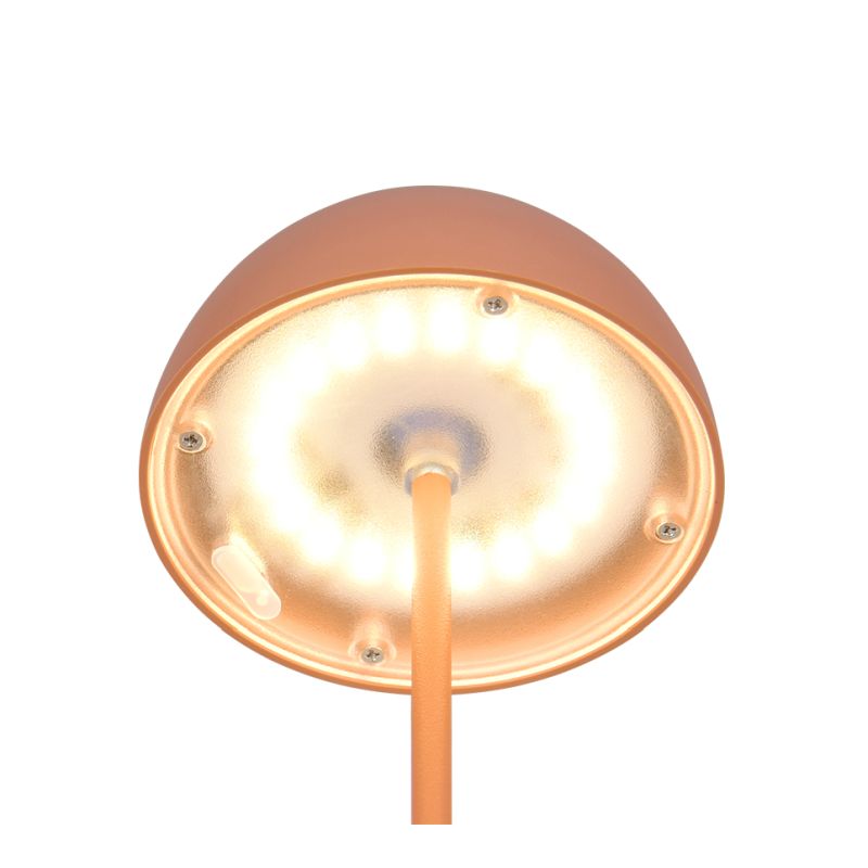 Trio-R55601140 - Ortiz - Portable Indoor/Outdoor Rechargeable Apricot Table Lamp