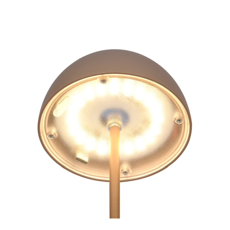 Trio-R55601165 - Ortiz - Portable Indoor/Outdoor Rechargeable Coffee Table Lamp