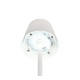 - Diaz - Portable Indoor/Outdoor Rechargeable White Table Lamp Trio-R55961131 - Diaz - Portable Indoor/Outdoor Rechargeable White Table Lamp