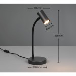 Taryn - Matt Black Desk Lamp