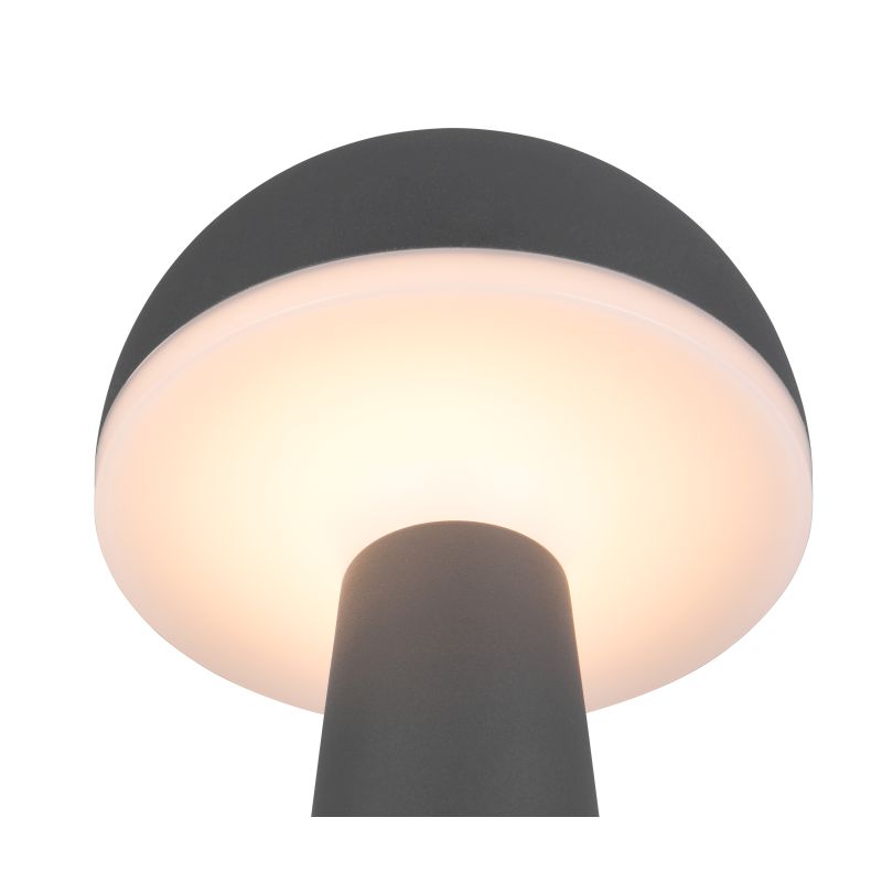 Trio-R57716142 - Fungo - Portable Indoor/Outdoor Rechargeable Black CCT Table Lamp