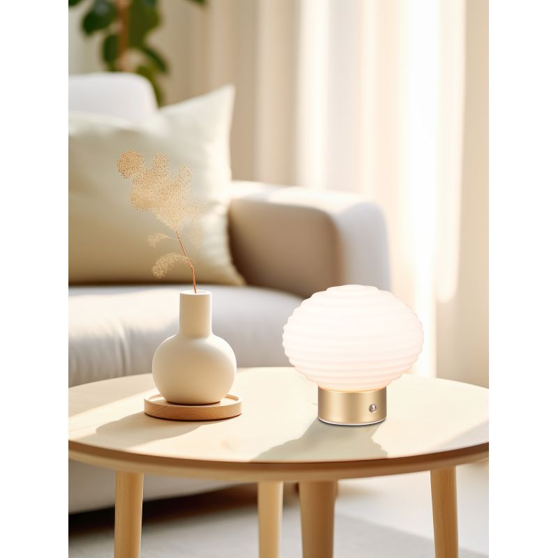 - Earl - Rechargeable Matt Brass LED Table Lamp with White Glass Trio-R57771101 - Earl - Rechargeable Matt Brass LED Table Lamp with White Glass