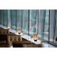 - Earl - Rechargeable Matt Brass LED Table Lamp with Amber Glass Trio-R57771113 - Earl - Rechargeable Matt Brass LED Table Lamp with Amber Glass
