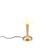Trio-R59561108 - Canaria - Matt Brass Touch Table Lamp with White Glass
