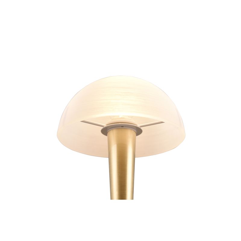 Trio-R59561108 - Canaria - Matt Brass Touch Table Lamp with White Glass