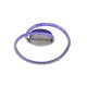 Trio-R62021105 - Rubin - Crystal & Chrome RGBW Flush with Remote Control