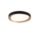 Ceiling Lights - Zeta - Black & Gold CCT Ceiling Lamp with Remote Control Ø 48.5 cm Trio-R62712402 - Zeta - Black & Gold CCT Ceiling Lamp with Remote Control Ø 48.5 cm