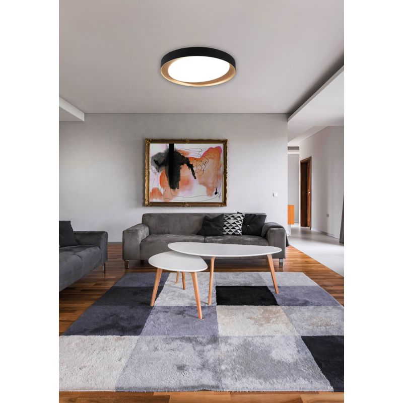 Ceiling Lights - Zeta - Black & Gold CCT Ceiling Lamp with Remote Control Ø 48.5 cm Trio-R62712402 - Zeta - Black & Gold CCT Ceiling Lamp with Remote Control Ø 48.5 cm
