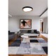 Ceiling Lights - Zeta - Black & Gold CCT Ceiling Lamp with Remote Control Ø 48.5 cm Trio-R62712402 - Zeta - Black & Gold CCT Ceiling Lamp with Remote Control Ø 48.5 cm