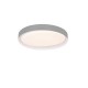 - Zeta - Grey CCT Ceiling Lamp with Remote Control Ø 48.5 cm Trio-R62712411 - Zeta - Grey CCT Ceiling Lamp with Remote Control Ø 48.5 cm