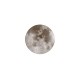 - Moonika - Moon LED Ceiling Lamp IP44 Trio-R62764000 - Moonika - Moon LED Ceiling Lamp IP44