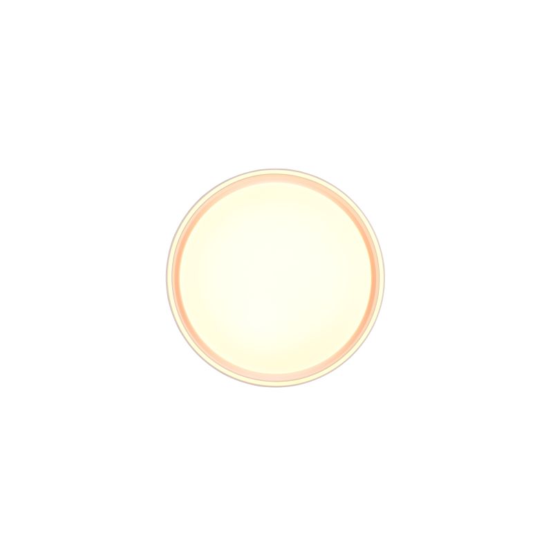 Ceiling Lights - Felis - Matt White CCT Ceiling Lamp with Remote Control Ø 40 cm Trio-R64391031 - Felis - Matt White CCT Ceiling Lamp with Remote Control Ø 40 cm
