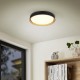 Ceiling Lights - Felis - Matt Black & Gold CCT Ceiling Lamp with Remote Control Ø 40 cm Trio-R64391080 - Felis - Matt Black & Gold CCT Ceiling Lamp with Remote Control Ø 40 cm