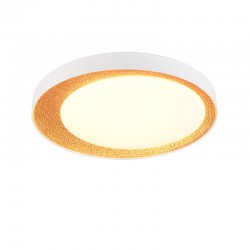 Aleta - White & Gold CCT Ceiling Lamp with Remote Control