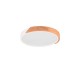Trio-R67201131 - Jano - Matt White & Wooden LED Ceiling Lamp