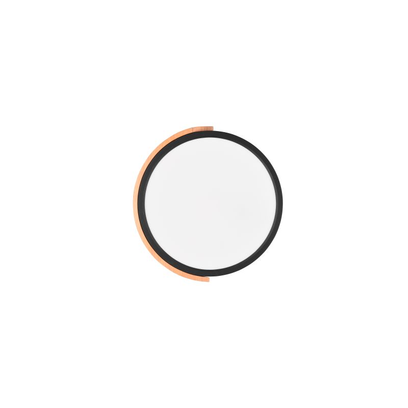 Trio-R67201132 - Jano - Matt Black & Wooden LED Ceiling Lamp