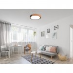 Jano - Matt Black & Wooden LED Ceiling Lamp