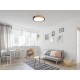 Trio-R67201132 - Jano - Matt Black & Wooden LED Ceiling Lamp