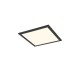 - Beta - Black & White RGBW Ceiling Lamp with Remote Control Trio-R67663032 - Beta - Black & White RGBW Ceiling Lamp with Remote Control