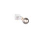 Trio-R80181731 - Vannes - Matt White Spotlight