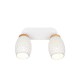 Trio-R81572031 - Bidar - White 2 Spotlight with Wood Accent