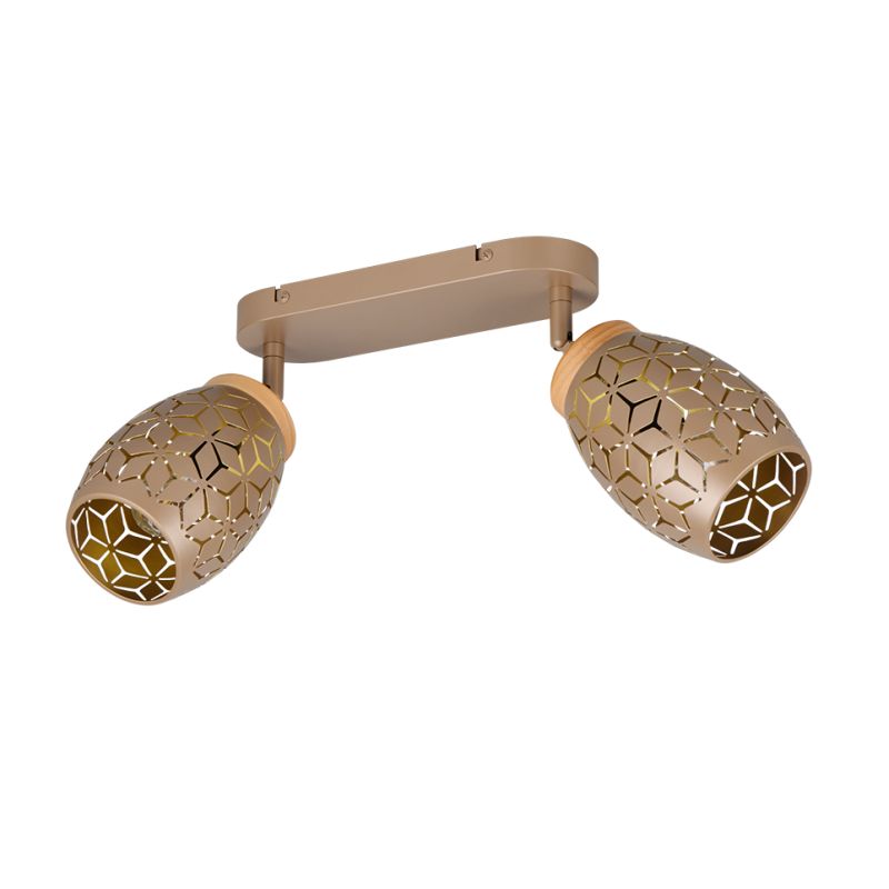 Trio-R81572065 - Bidar - Coffee 2 Spotlight with Wood Accent