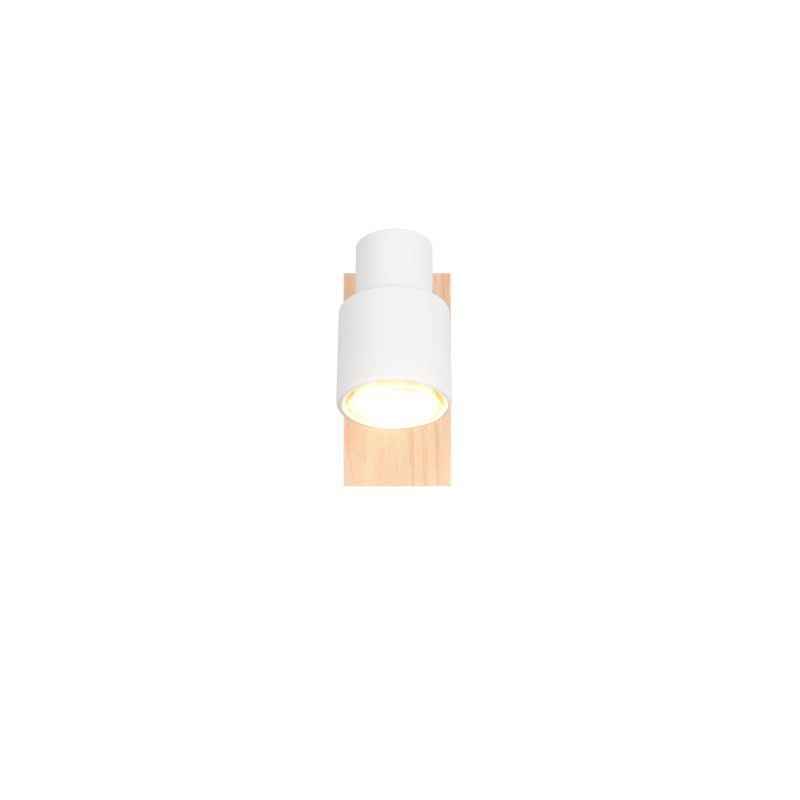 Trio-R81981731 - Pierre - Matt White & Wooden Spotlight