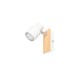 Trio-R81981731 - Pierre - Matt White & Wooden Spotlight
