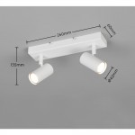 Taryn - Matt White 2 Spotlights