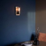 Lotus - Bronze Patina Wall Lamp with Clear Glass Shade Lotus - Bronze Patina Wall Lamp with Clear Glass Shade