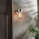 Ambience-63770 - Onix - Outdoor Brushed Silver Wall Lamp with Clear Glass