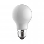Searchlight - E27 Dimmable White Classic Bulb 7W - 807 lm Searchlight - E27 Dimmable White Classic Bulb 7W - 807 lm